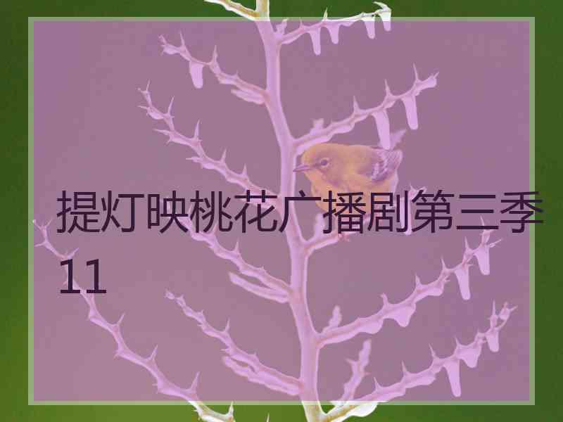 提灯映桃花广播剧第三季11