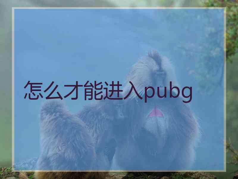 怎么才能进入pubg