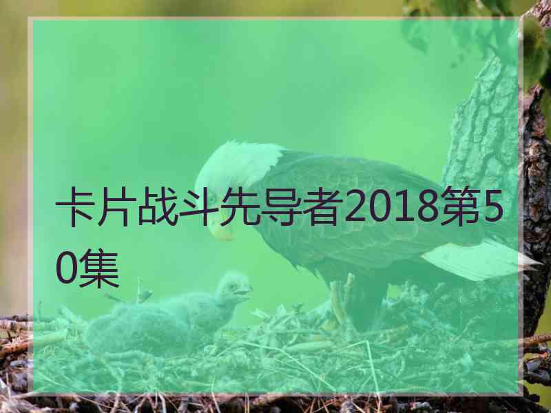 卡片战斗先导者2018第50集