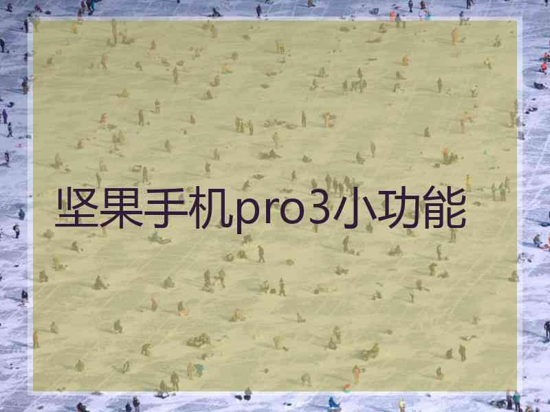 坚果手机pro3小功能