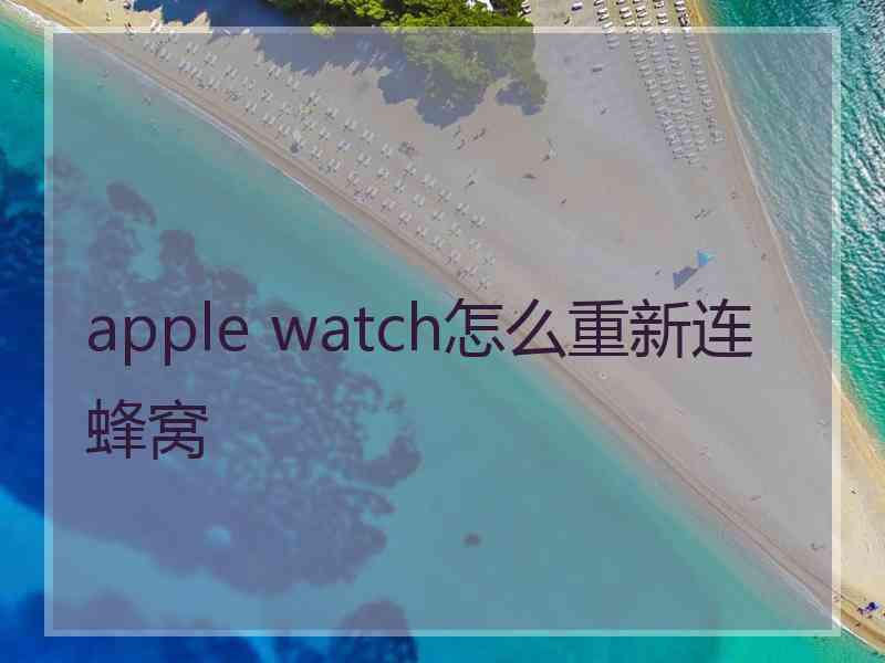 apple watch怎么重新连蜂窝