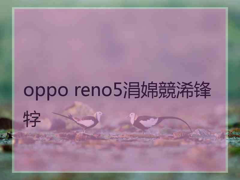 oppo reno5涓婂競浠锋牸