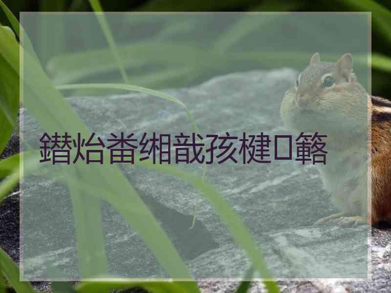 鐟炲畨缃戠孩楗簵