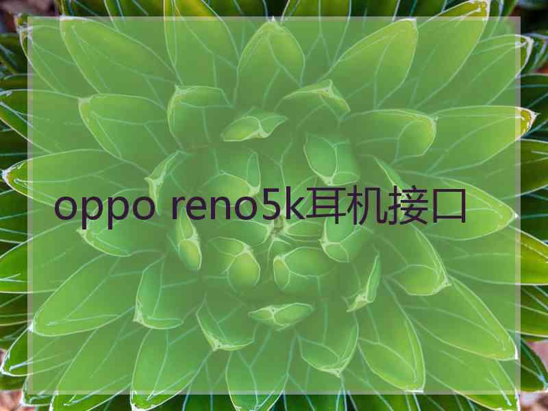 oppo reno5k耳机接口