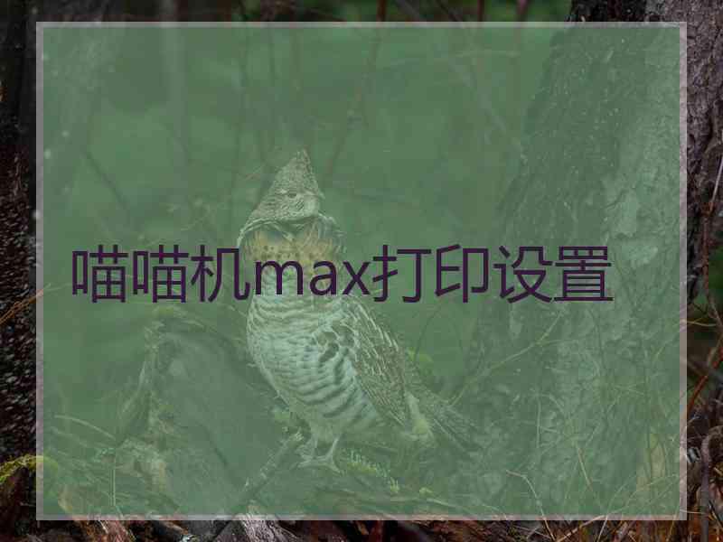 喵喵机max打印设置