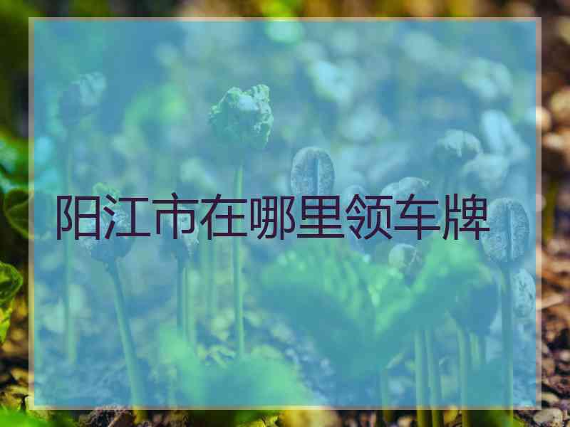 阳江市在哪里领车牌