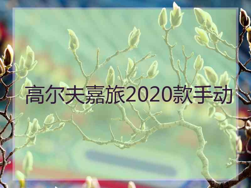 高尔夫嘉旅2020款手动