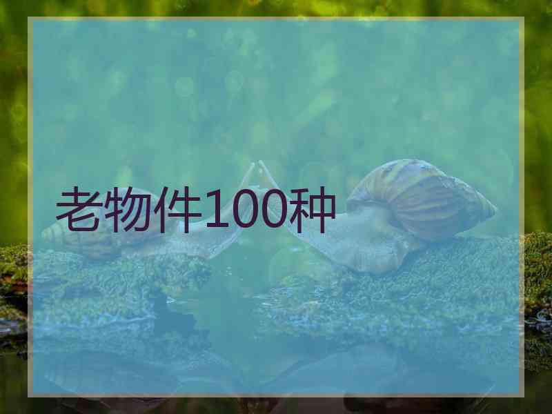 老物件100种