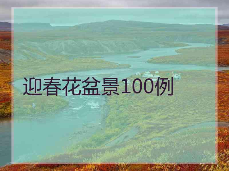 迎春花盆景100例