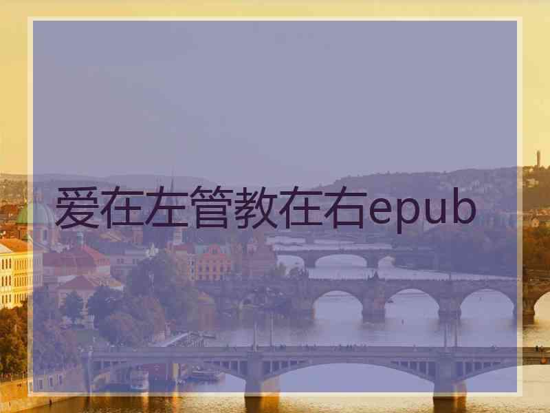 爱在左管教在右epub