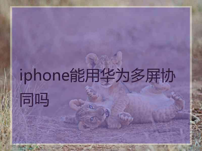 iphone能用华为多屏协同吗