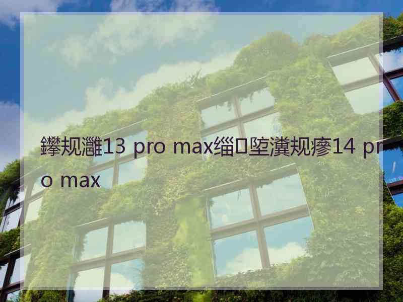 鑻规灉13 pro max缁埅瀵规瘮14 pro max