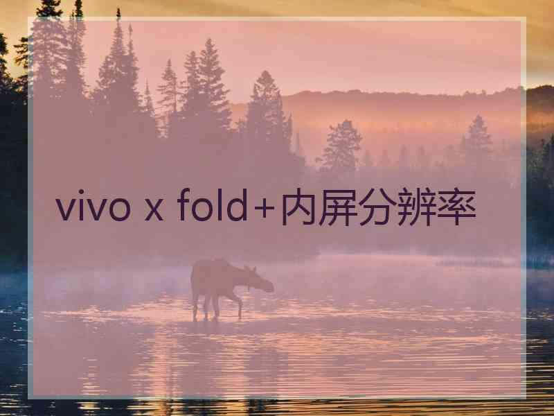 vivo x fold+内屏分辨率