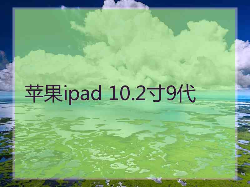 苹果ipad 10.2寸9代