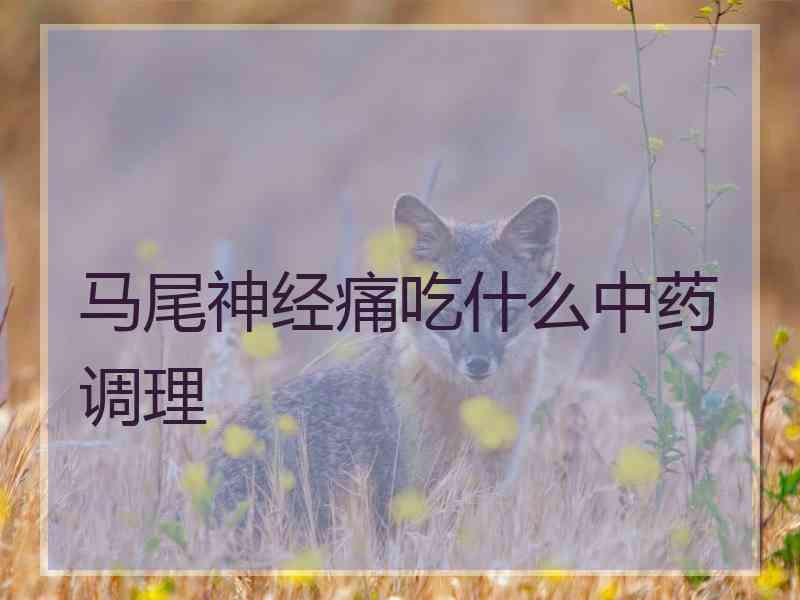 马尾神经痛吃什么中药调理