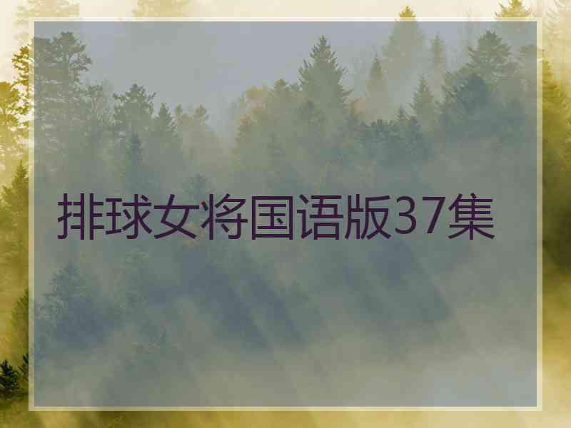 排球女将国语版37集