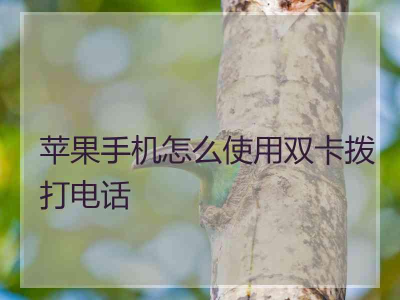 苹果手机怎么使用双卡拨打电话