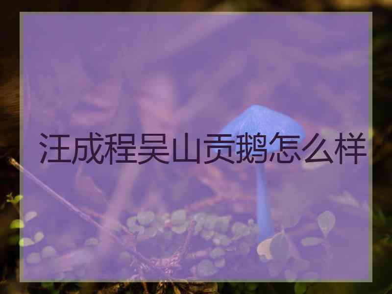 汪成程吴山贡鹅怎么样