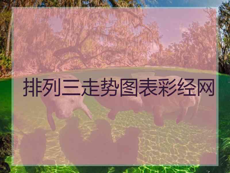 排列三走势图表彩经网