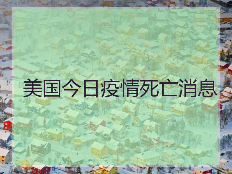 美国今日疫情死亡消息