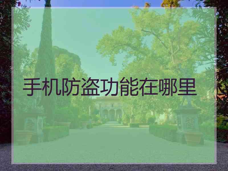 手机防盗功能在哪里