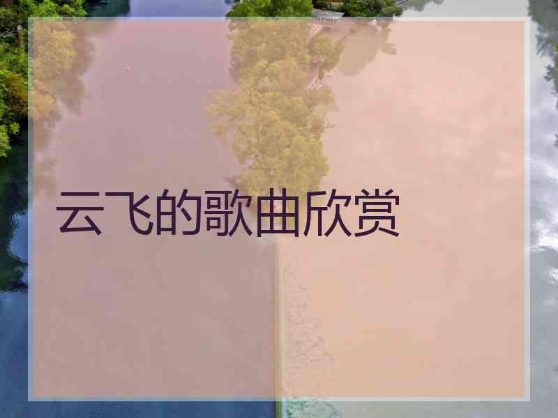 云飞的歌曲欣赏