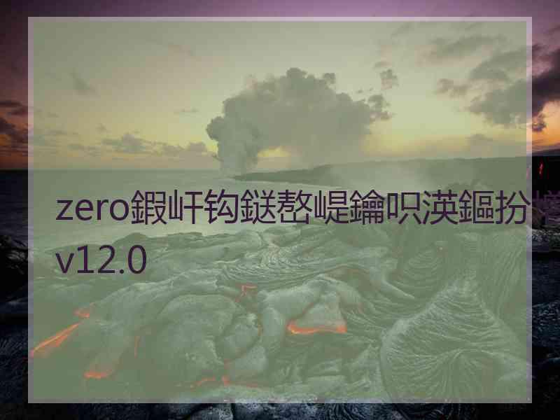 zero鍜屽钩鎹嶅崼鑰呮渶鏂扮増v12.0