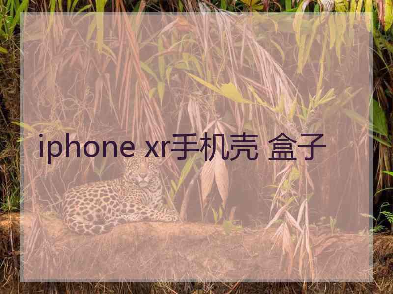 iphone xr手机壳 盒子