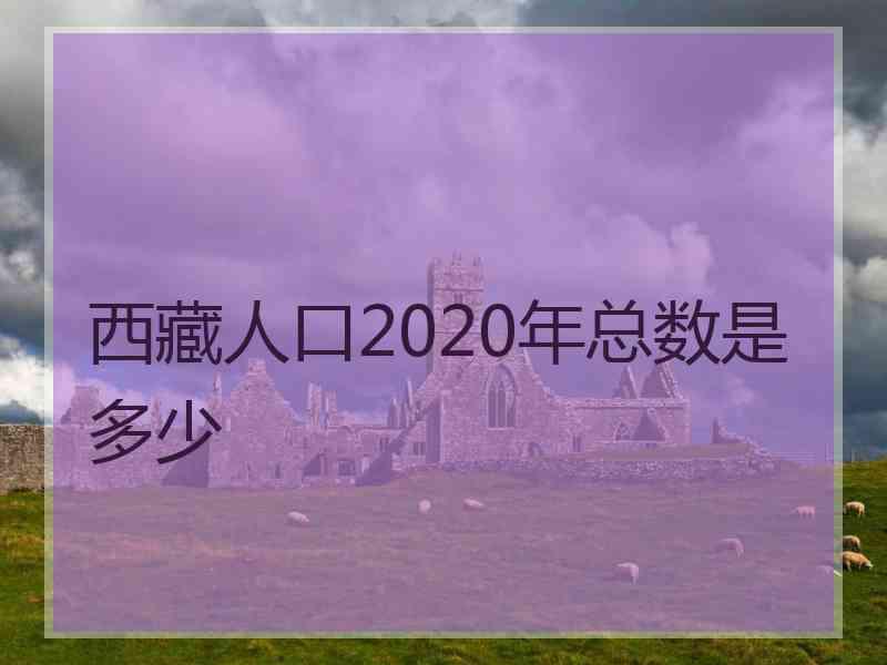 西藏人口2020年总数是多少