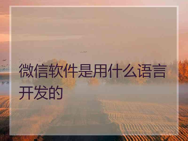 微信软件是用什么语言开发的