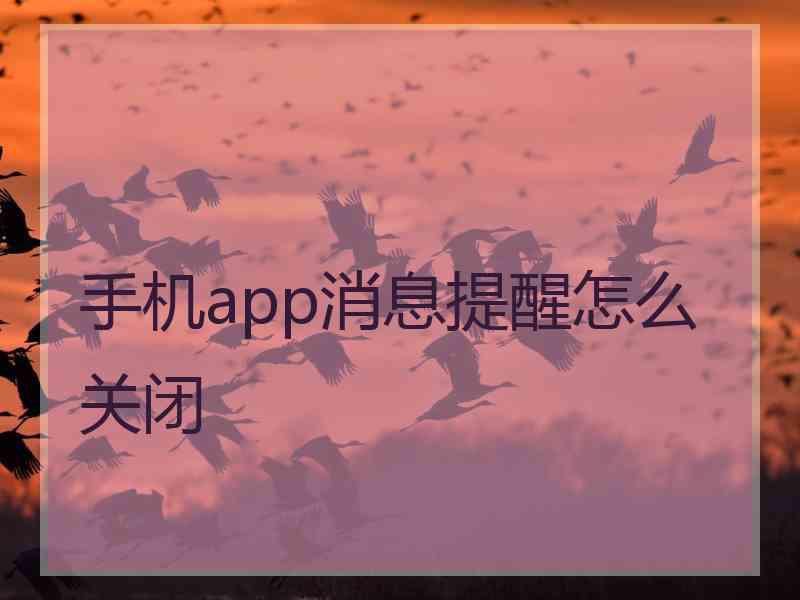 手机app消息提醒怎么关闭