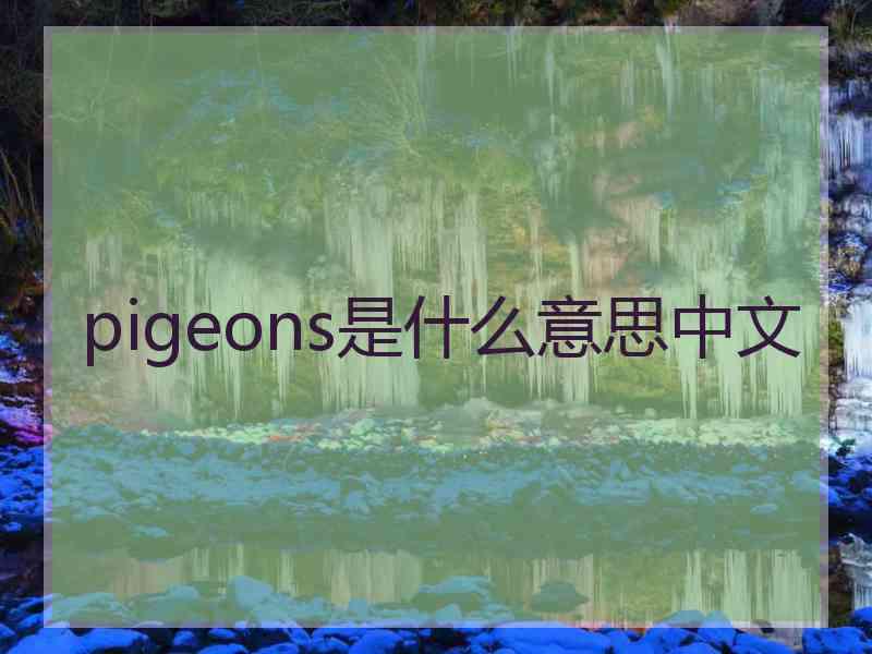 pigeons是什么意思中文