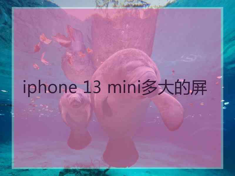 iphone 13 mini多大的屏