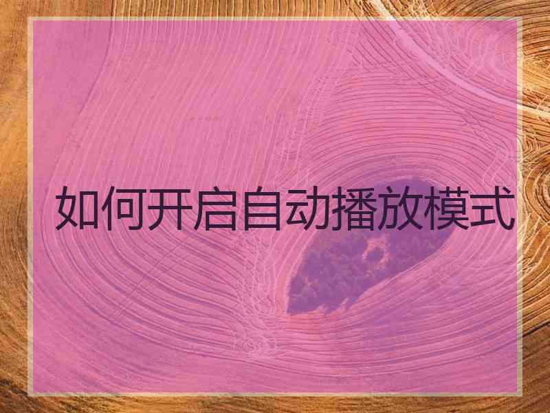 如何开启自动播放模式