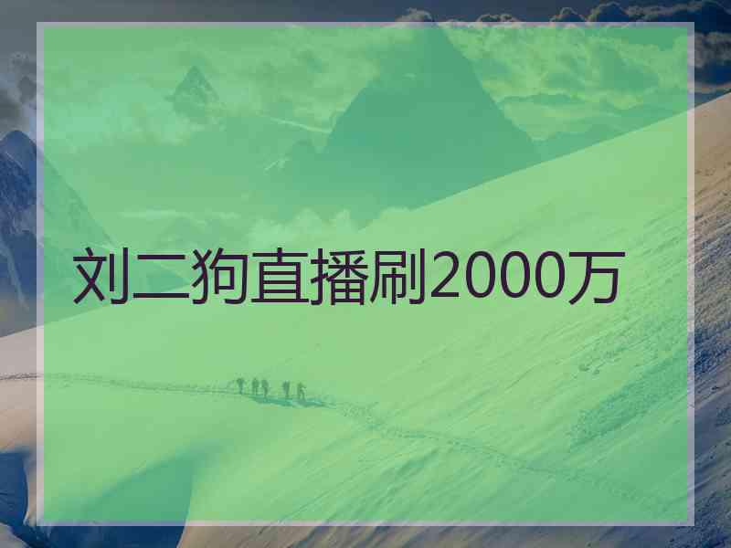 刘二狗直播刷2000万