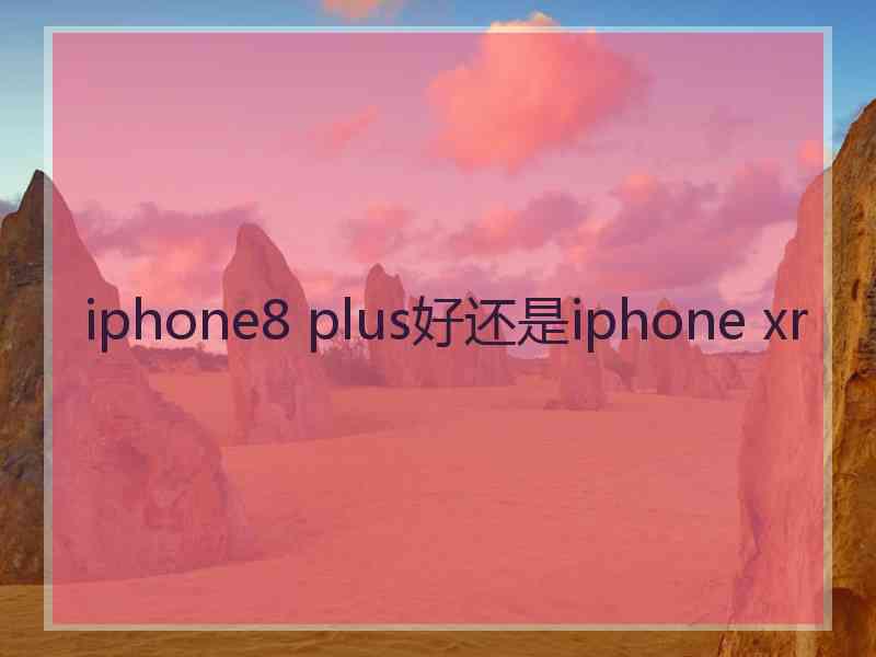 iphone8 plus好还是iphone xr