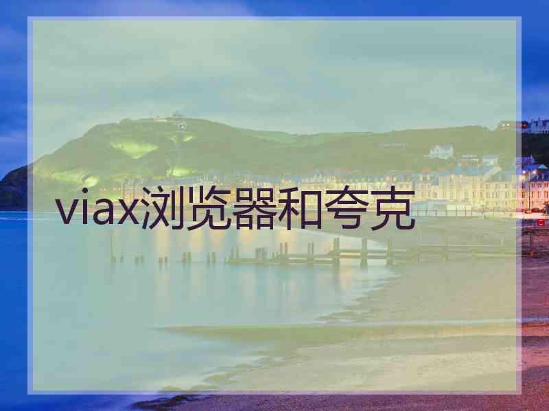 viax浏览器和夸克