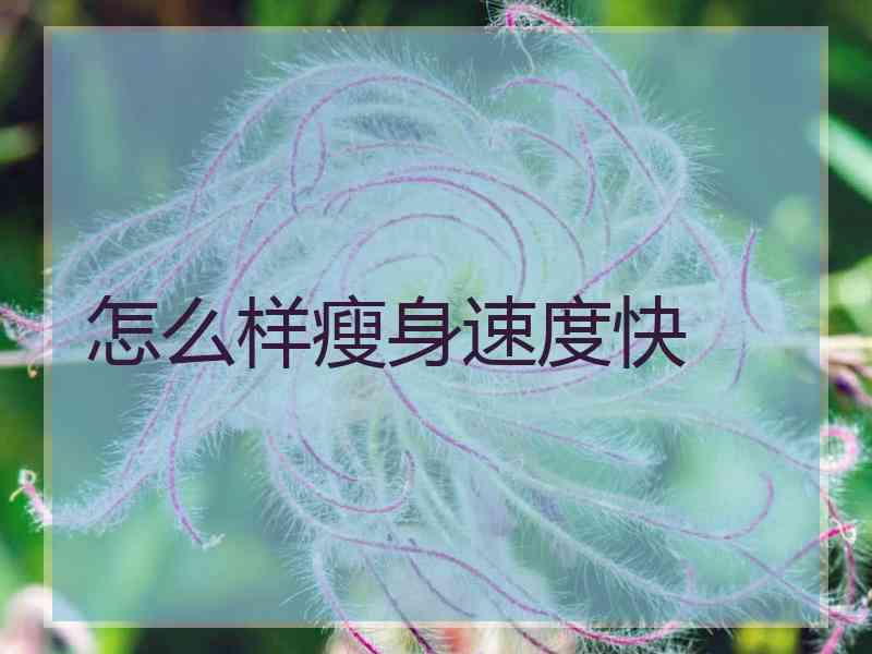 怎么样瘦身速度快