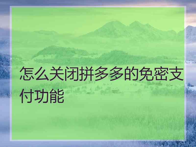 怎么关闭拼多多的免密支付功能