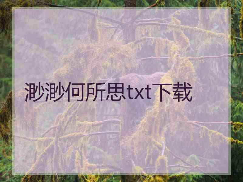 渺渺何所思txt下载