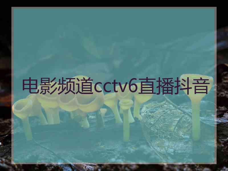 电影频道cctv6直播抖音