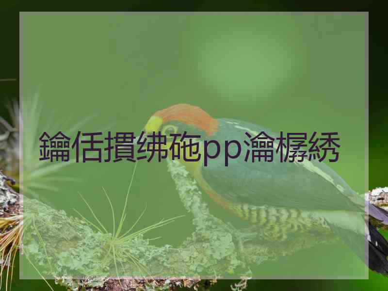 鑰佸摜绋砤pp瀹樼綉