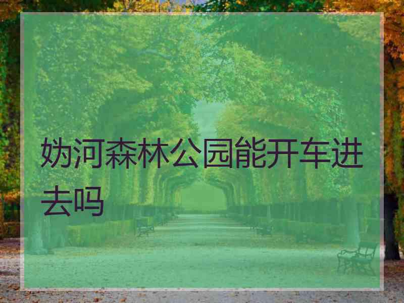 妫河森林公园能开车进去吗