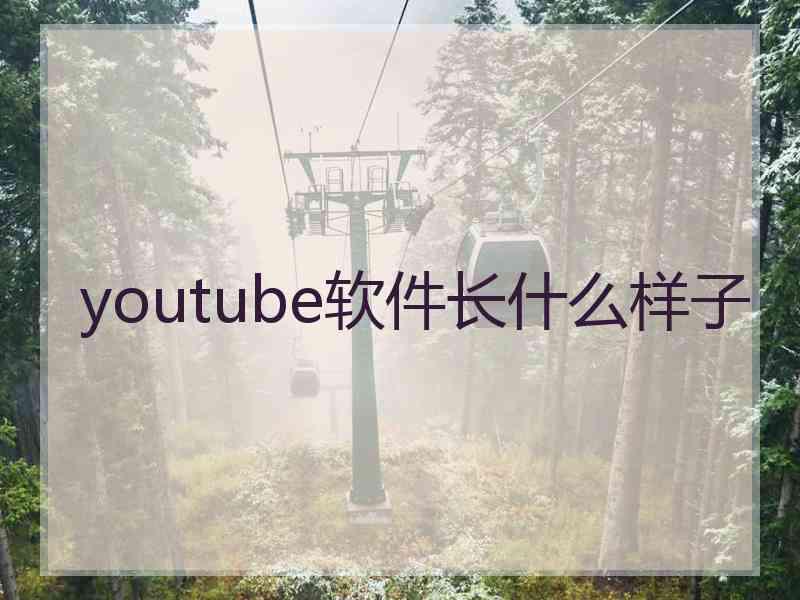 youtube软件长什么样子