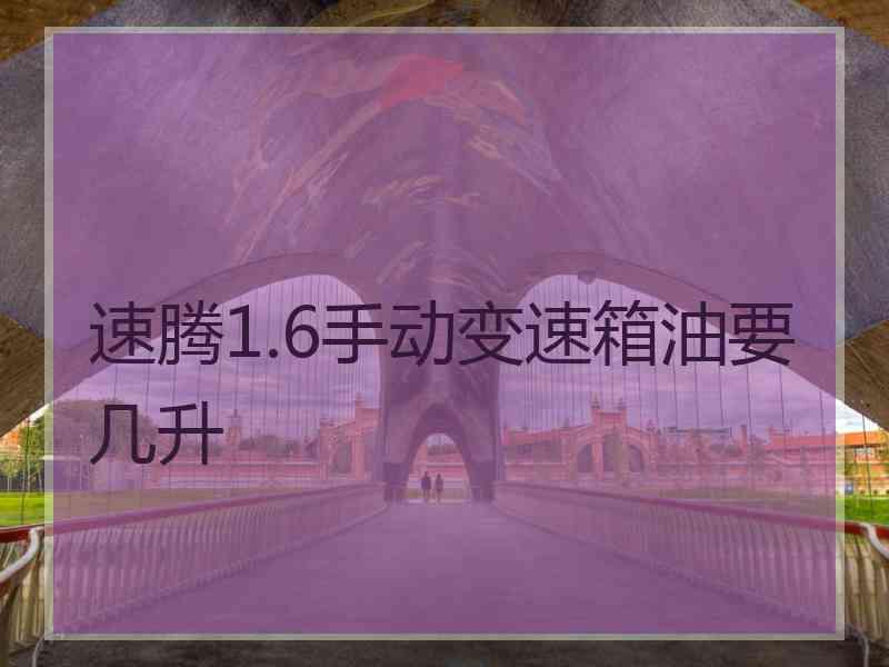 速腾1.6手动变速箱油要几升