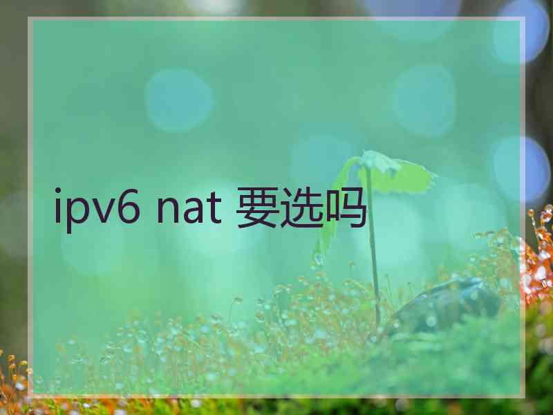 ipv6 nat 要选吗