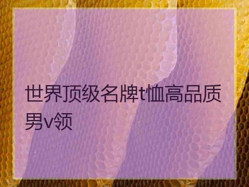 世界顶级名牌t恤高品质男v领