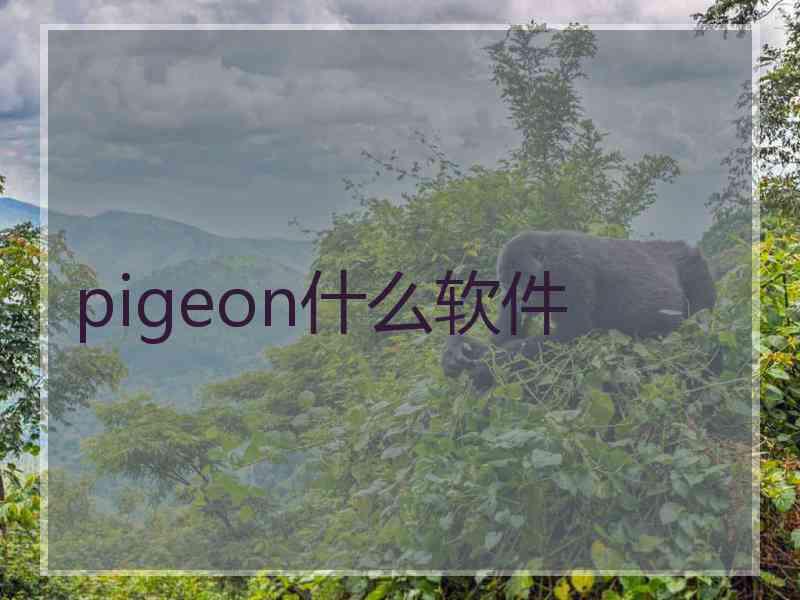 pigeon什么软件