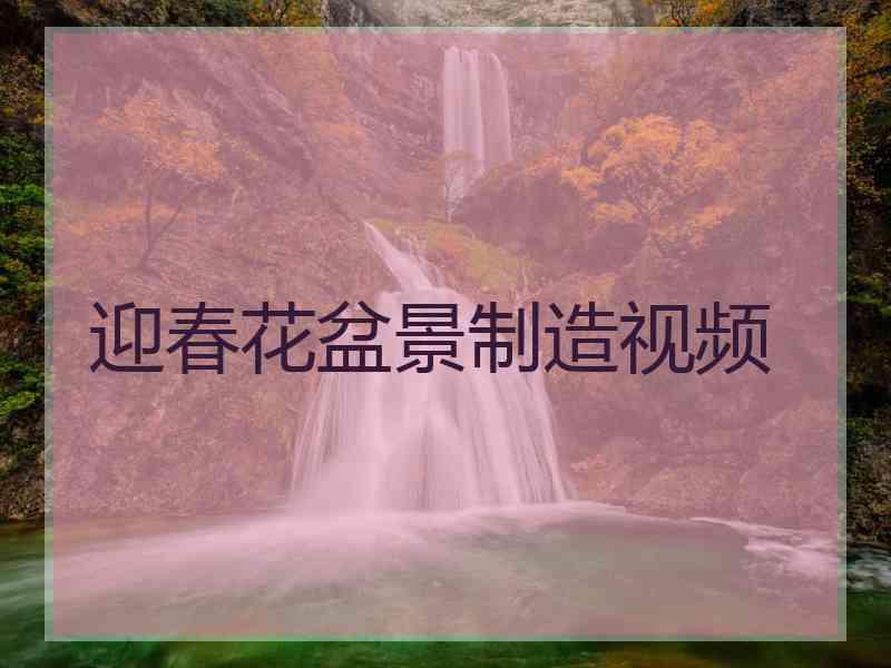 迎春花盆景制造视频