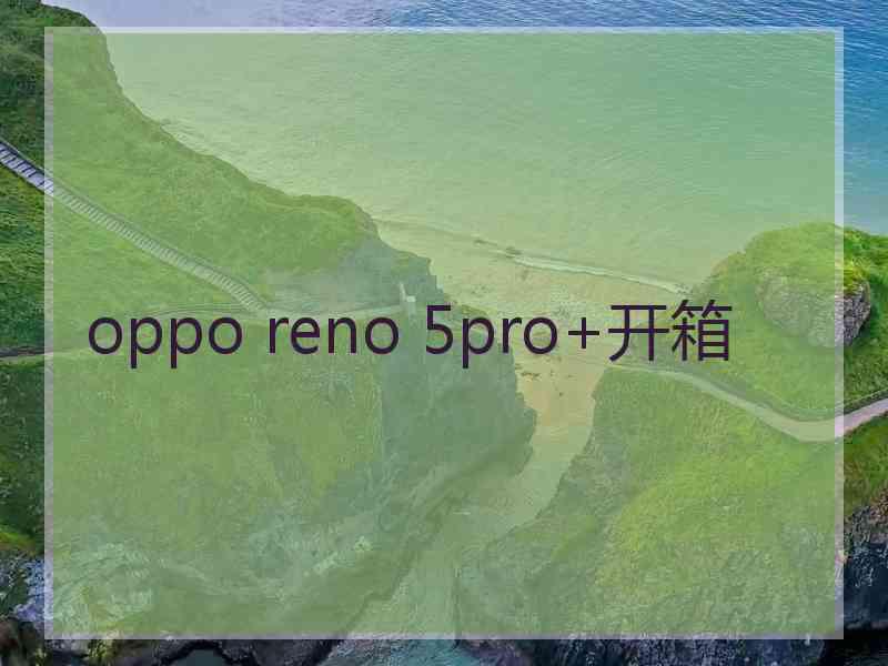 oppo reno 5pro+开箱